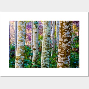 Trees Posters and Art
